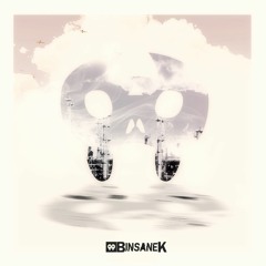 BinsaneK