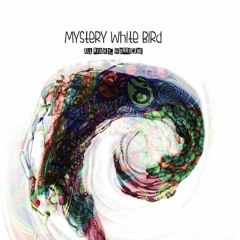 MysteryWhiteBird