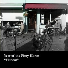 year of the fiery horse