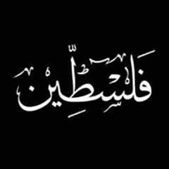 Zaynab Atef