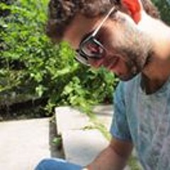 noamnoam