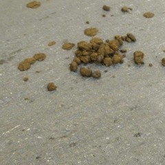 TlietaKokaKbar/LinjaĦara