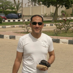 Hisham Abu Elkhair