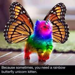 Jennifer Wilson Brophy