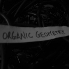 Organic Geometry