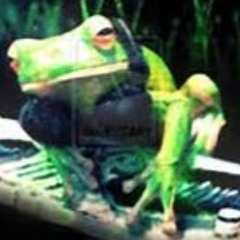 The DJ Frog
