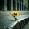 Mohamad Osama Ahmad