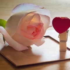 Saim ch