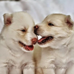 อ้วนผอม จอมซน