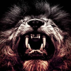 Alexander Poulopoulos