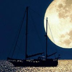 منصور الحكمي