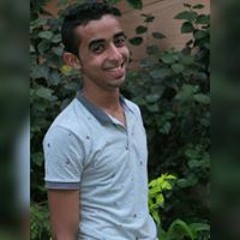 Mostafa M. Ebrahim