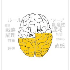 CAINSYSTEM