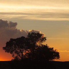 April Come She Will (Simon And Garfunkel)