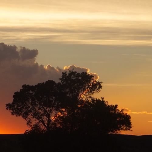 April Come She Will (Simon And Garfunkel)