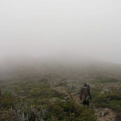 Unicorn Porn Records