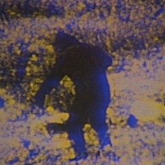 dirty dust particles