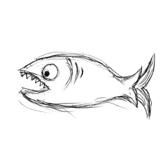 Some Species of Fish