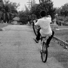 Muhammad Luthfi Wibowo