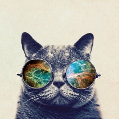 Disco_Cat