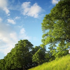 dams_1205