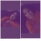 Queenin Msparker Thoee