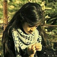 نسيم الصباح