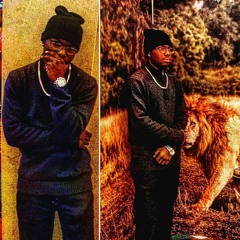 ShawnDaDonDaKingTNS_