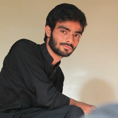 Mir Zeeshan