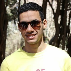 Mohamed Karam A. Hafez