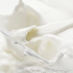 milk haus