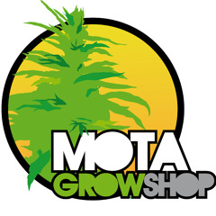 Mota GrowShop