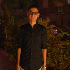 Amr El-Sheikh
