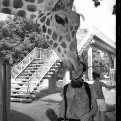 soundfoundandunfound