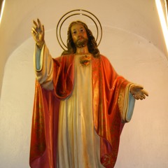 Bible/Catechism in a Year