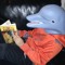 DolphinAnger