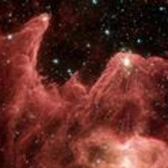 محمد أبوفارس