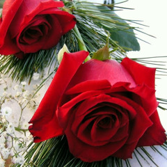Shakeel Ahmad