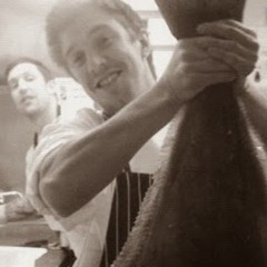joe fox