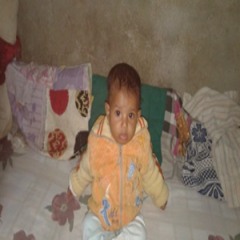 mgahed basha