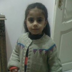 Nader Samy