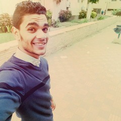 Ahmed Abo Elhamed