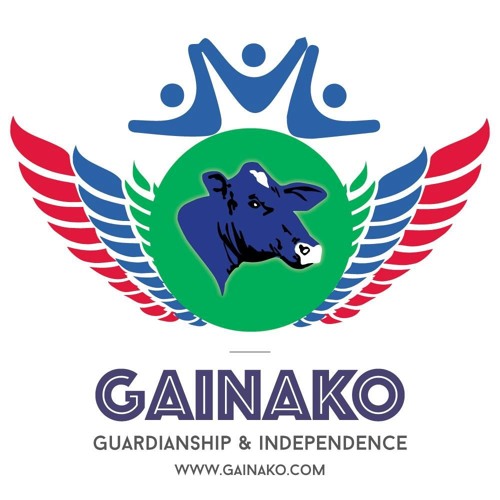 Stream Gainako Radio | Listen to Gambia Press Freedom - 2019 playlist  online for free on SoundCloud