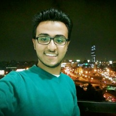 Mahmoud Goda El-Dawly