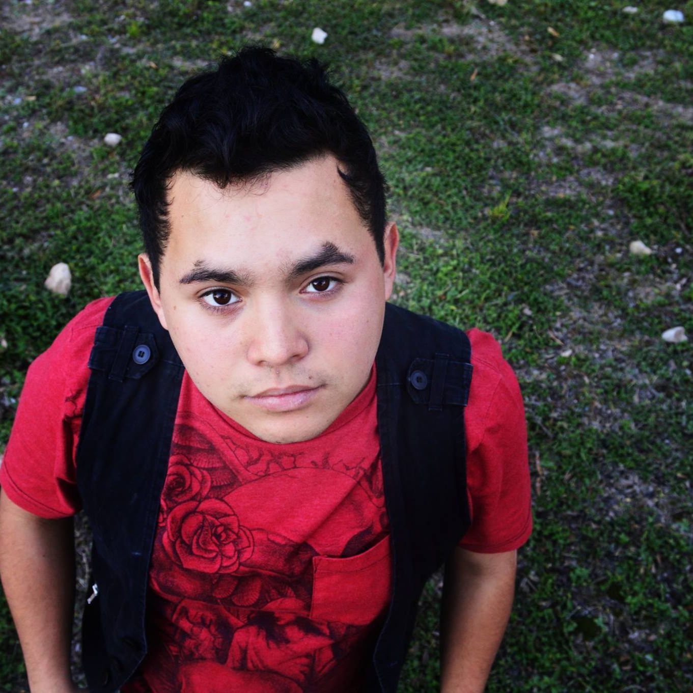 Charles Grey cover art