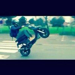 Yan Goltrant-Ghl