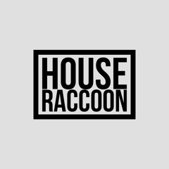 House Raccoon