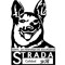 Strada