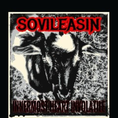 SOVILEASIN