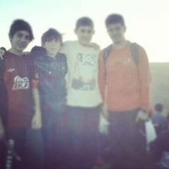 Tomy Carosi